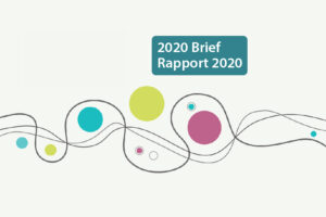 2020 Brief