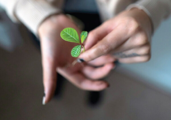 Job Alerts: Canada Summer Jobs (4 positions)